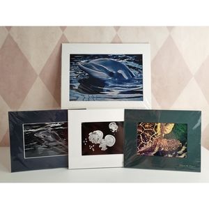 Aquatic Photography Prints